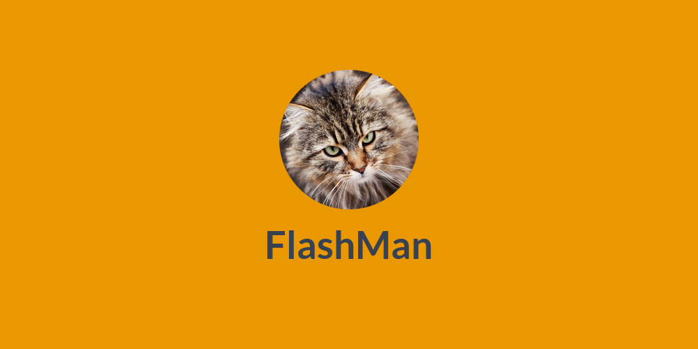 ⚡️FlashMan⚡️