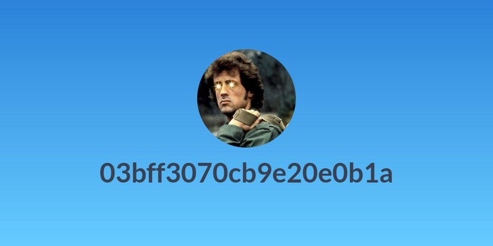 03bff3070cb9e20e0b1a