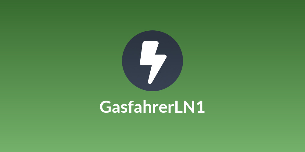 GasfahrerLN1⚡️