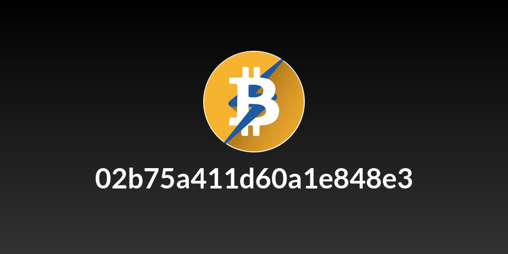 02b75a411d60a1e848e3