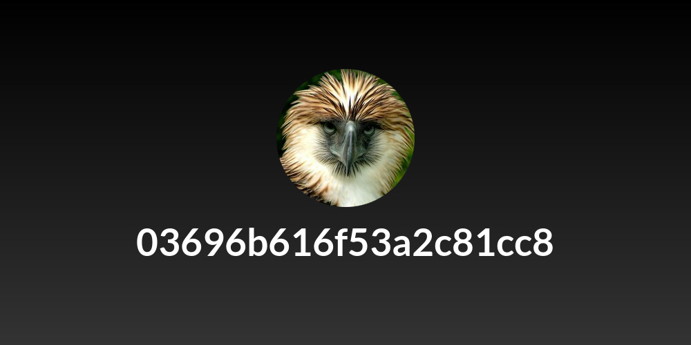 03696b616f53a2c81cc8