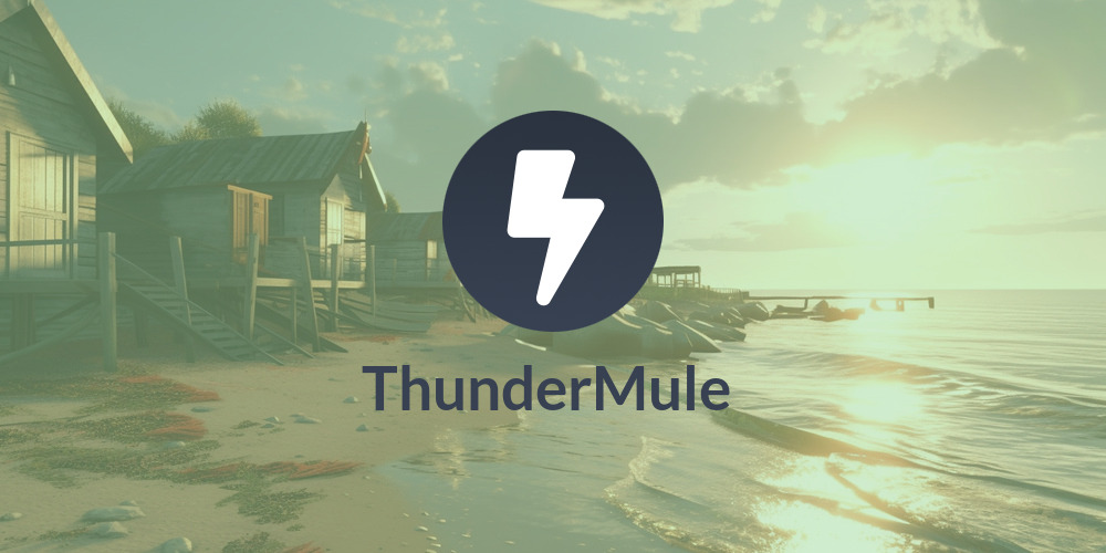 ThunderMule 🚀⚡