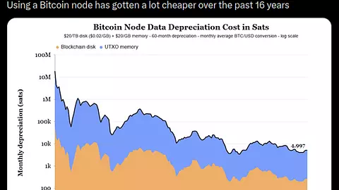 The Costs of Running a Node