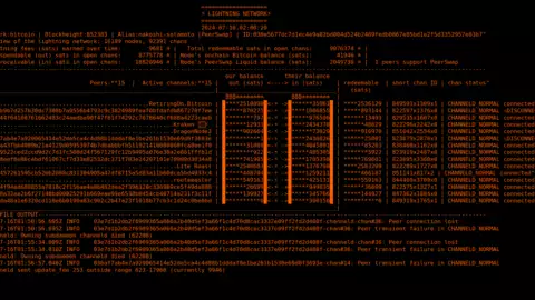 ln-term, a terminal interface dashboard for Core Lightning, has been updated