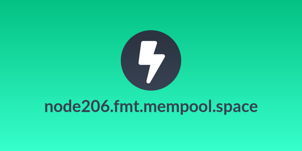 node206.fmt.mempool.space