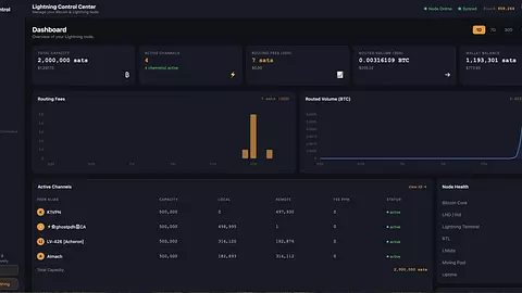 SparkieLabs⚡ignite.  Open channel swap for a limited time 