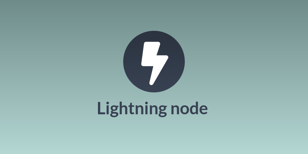 Lightning node 