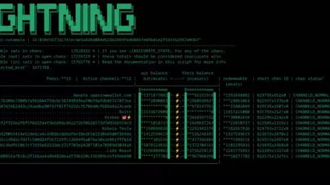 Introducing ln-term, a simple terminal display for Core Lightning