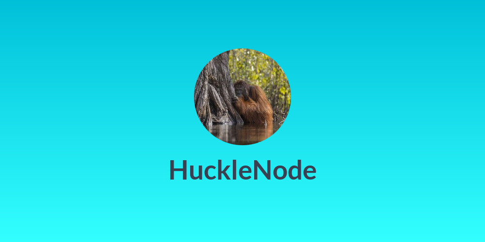 HuckleNode