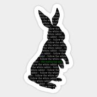 0xwhiterabbit