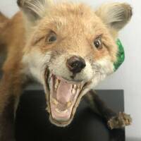 03b6d7bde4afe764dfbf