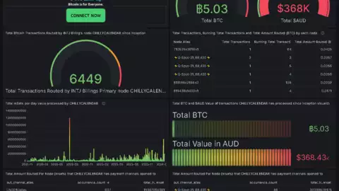 The INTJ Billing Bitcoin Lightning Network Grafana Dashboard