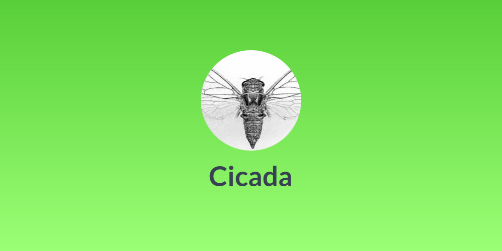 Cicada