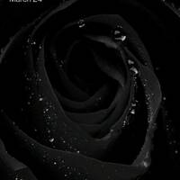 lnbc1pjpfm4gpp5fpwpj