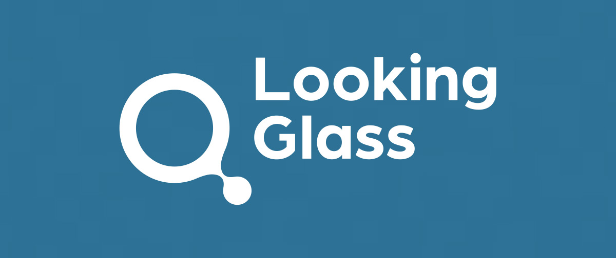 Looking Glass Education image