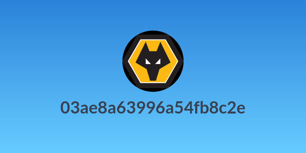 03ae8a63996a54fb8c2e