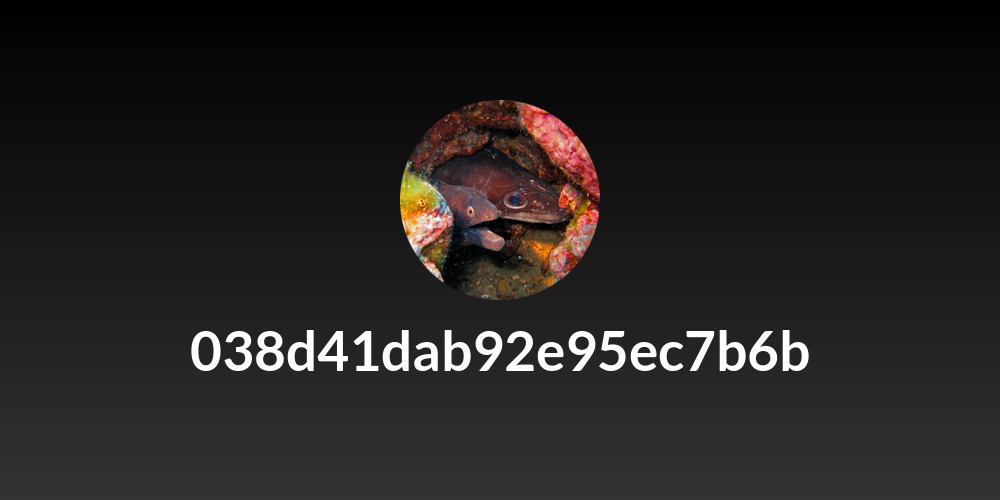 038d41dab92e95ec7b6b