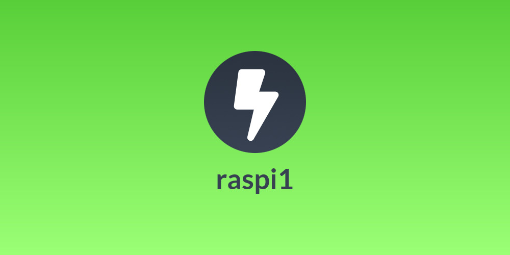 raspi1
