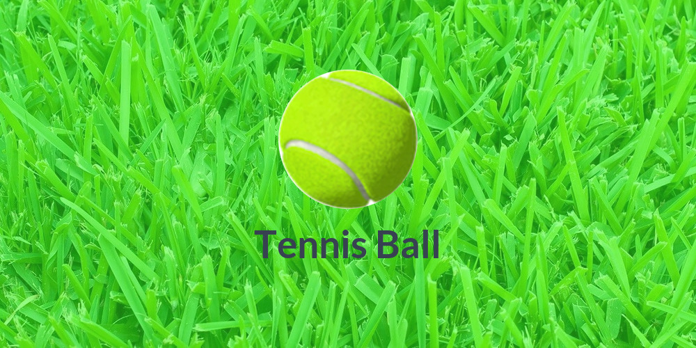 Tennis Ball