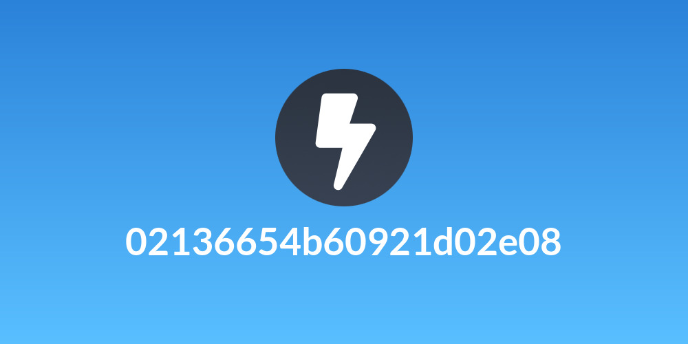 02136654b60921d02e08