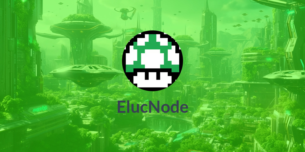 🎢ElucNode👾