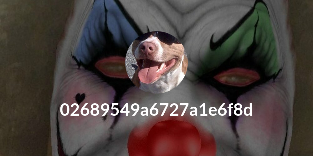 02689549a6727a1e6f8d