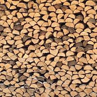 wood2wood