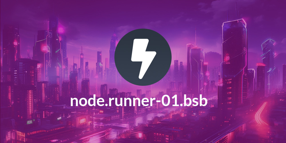 node.runner-01.bsb∴