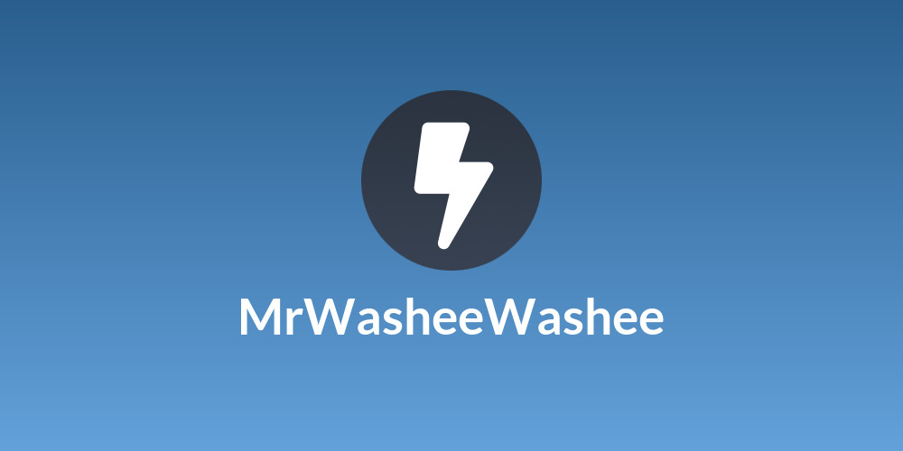 MrWasheeWashee