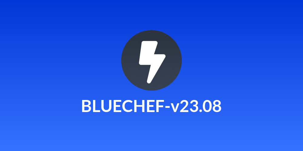 BLUECHEF-v23.08