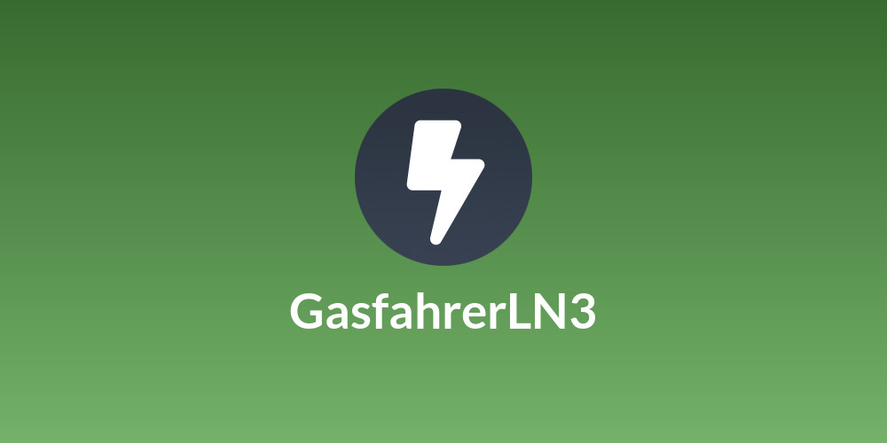 GasfahrerLN3⚡️