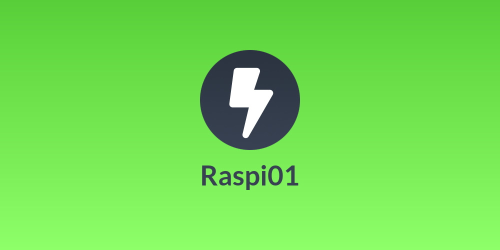 Raspi01
