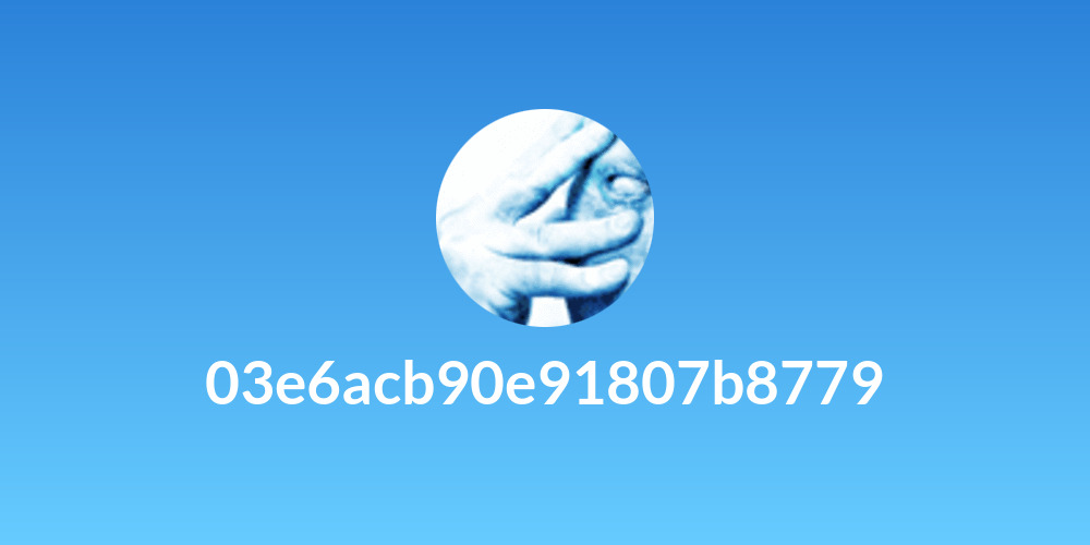 03e6acb90e91807b8779