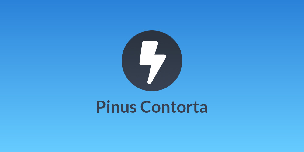 Pinus Contorta