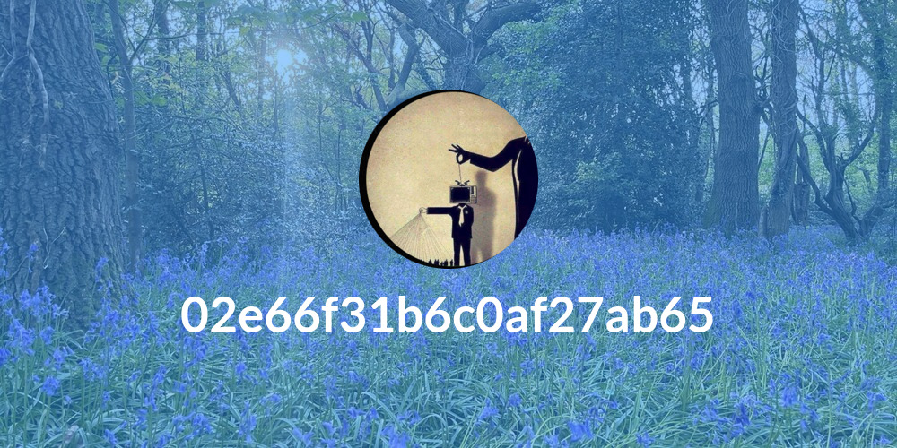 02e66f31b6c0af27ab65
