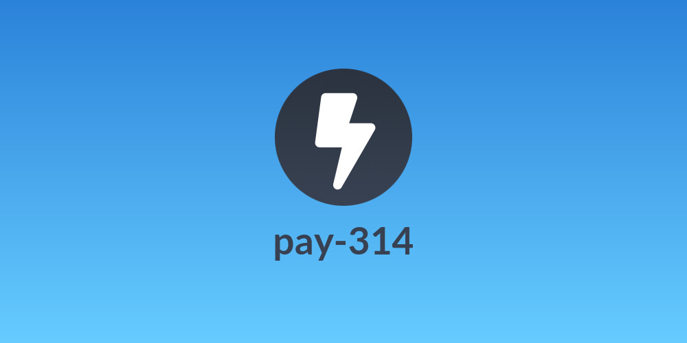 pay-314