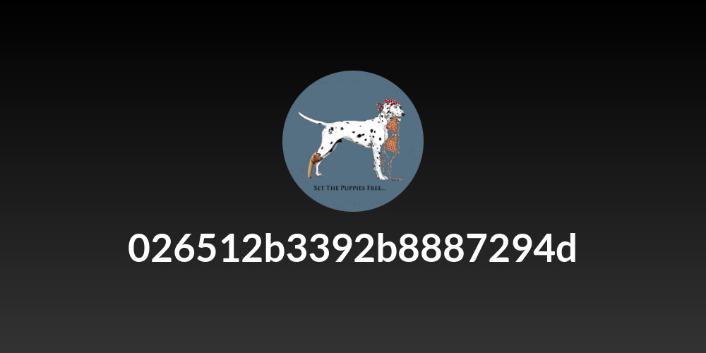 026512b3392b8887294d