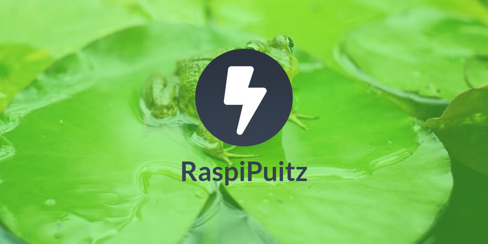 RaspiPuitz