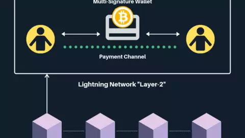 Liquidity for times of high on-chain fees