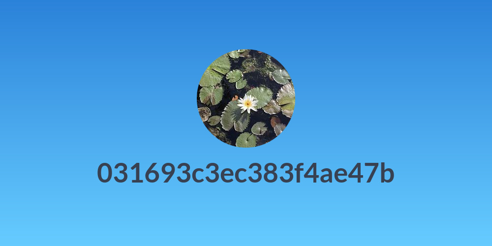 031693c3ec383f4ae47b