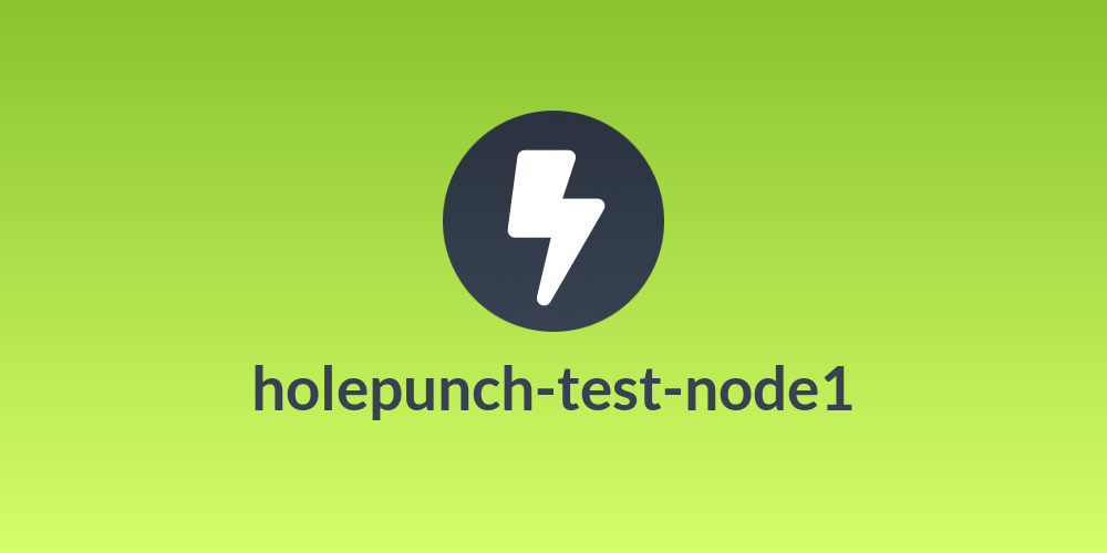 holepunch-test-node1