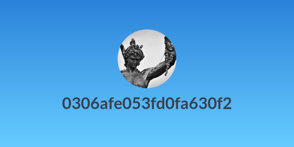 0306afe053fd0fa630f2