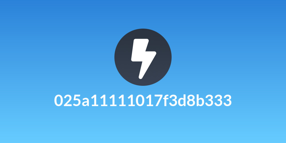 025a11111017f3d8b333