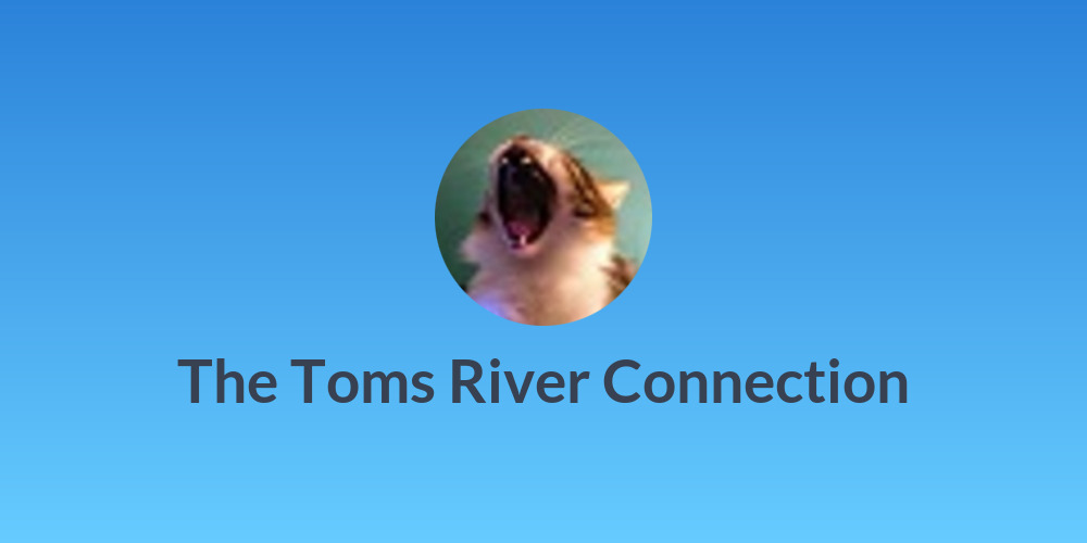 The Toms River Connection