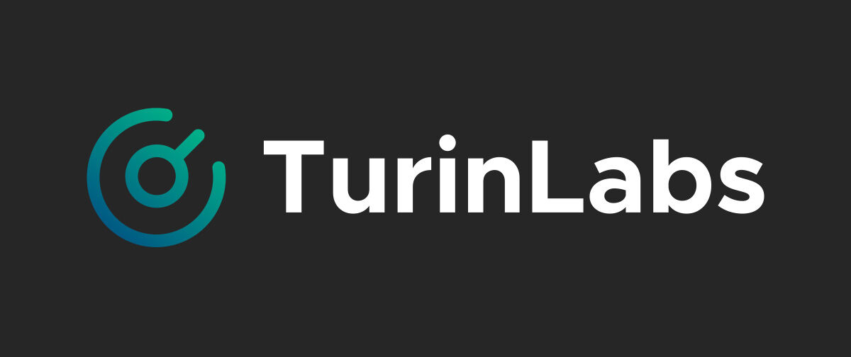 Turinlabs image