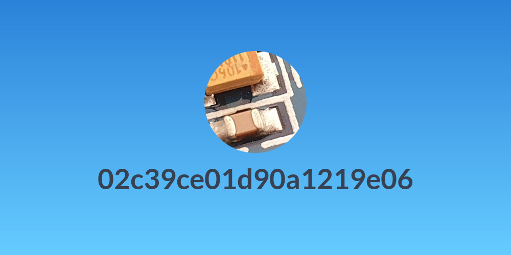 02c39ce01d90a1219e06