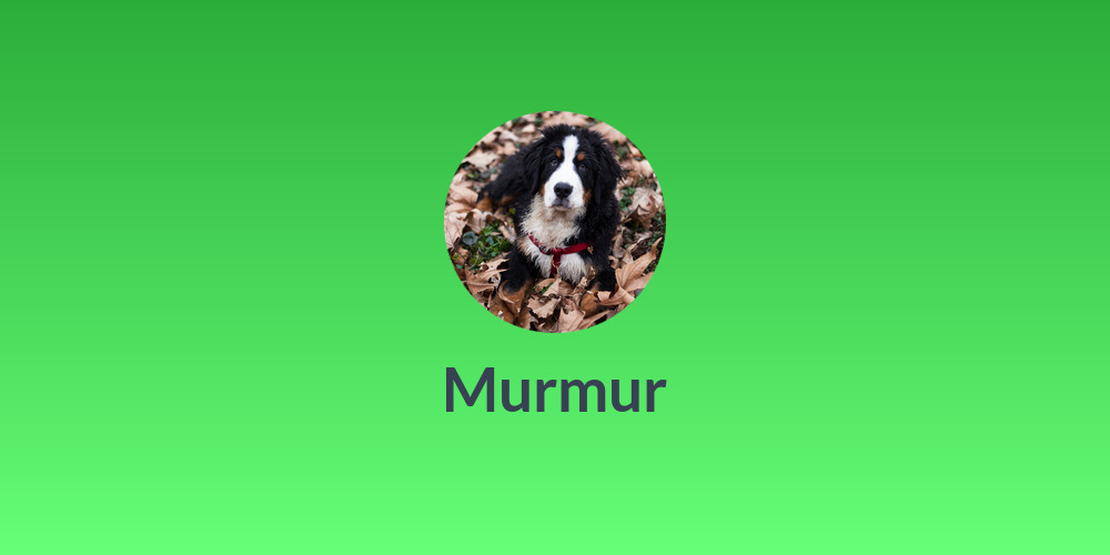 Murmur