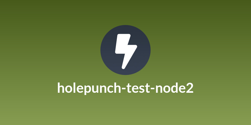 holepunch-test-node2