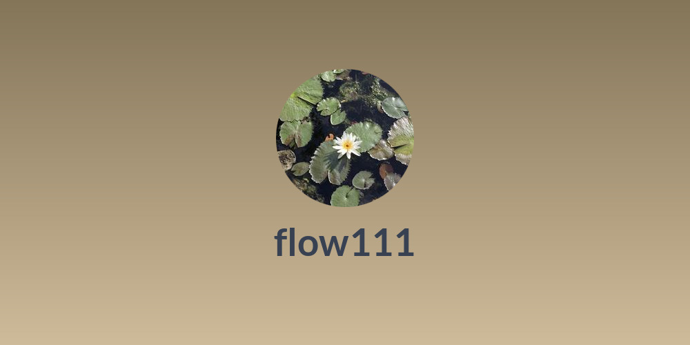 flow111