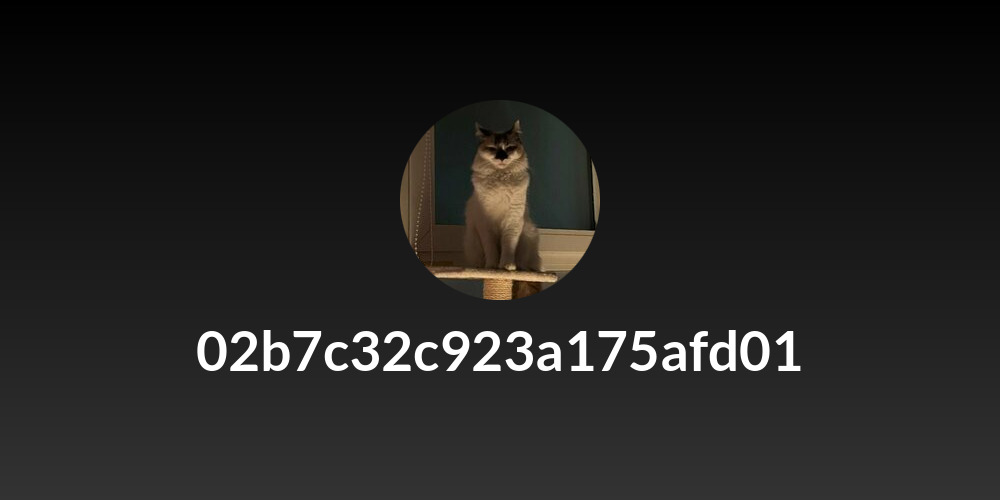 02b7c32c923a175afd01